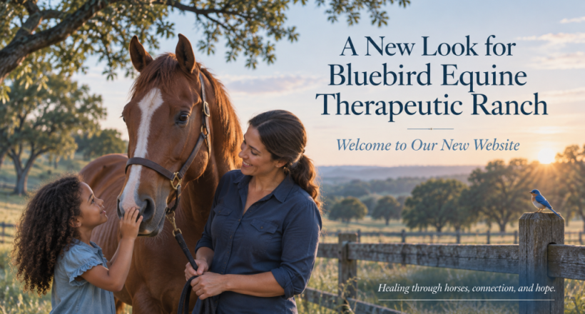 Bluebird_Equine_Therapeutic_Ranch_New_Website_Blog